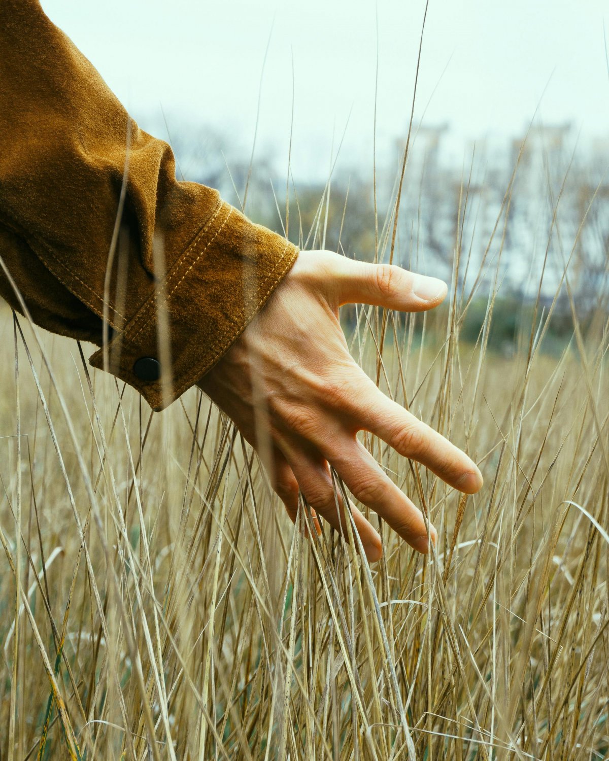 Abraza una Vida más Fácil, meditación guiada