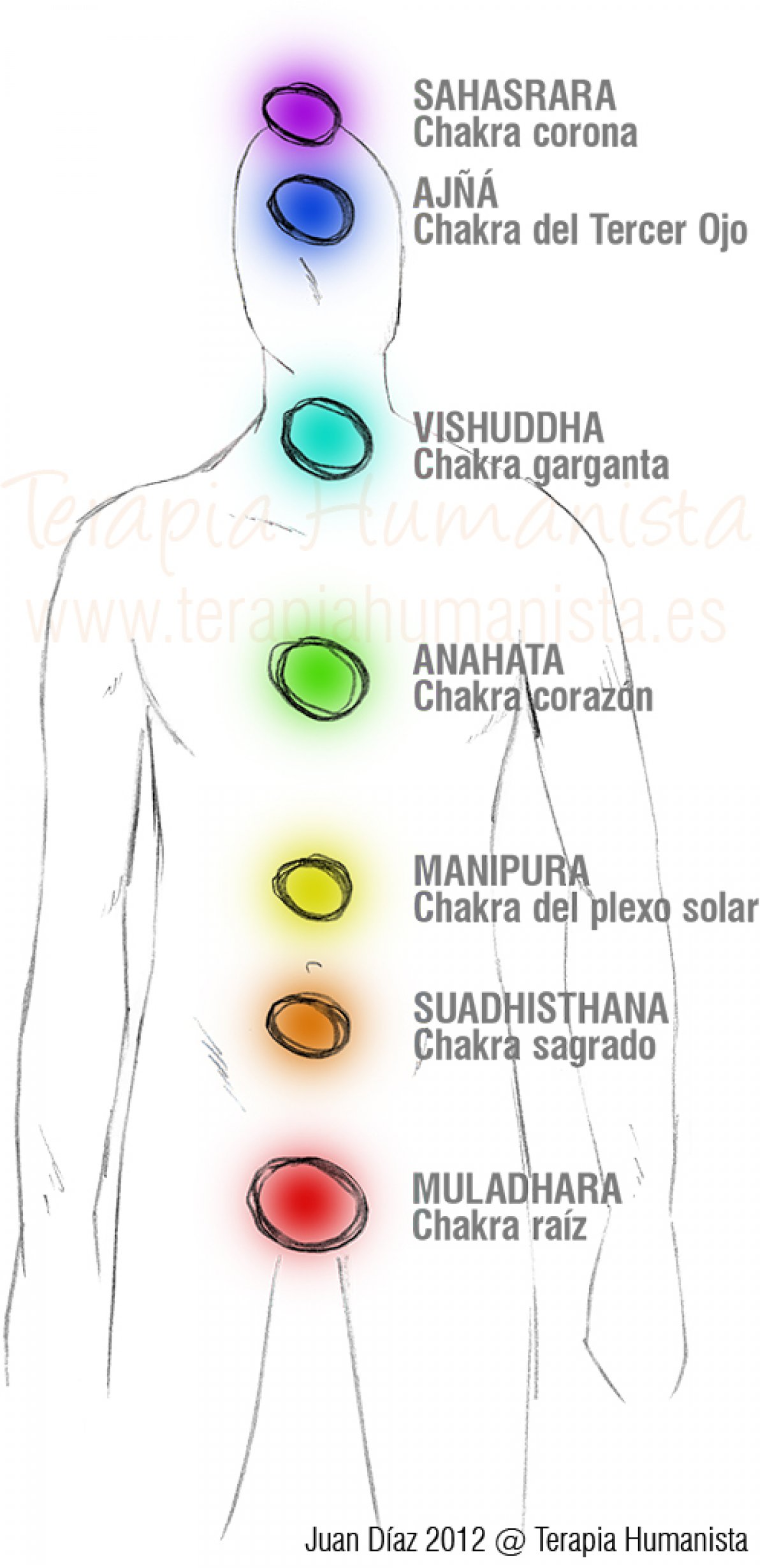 Los chakras: qué son y descripción