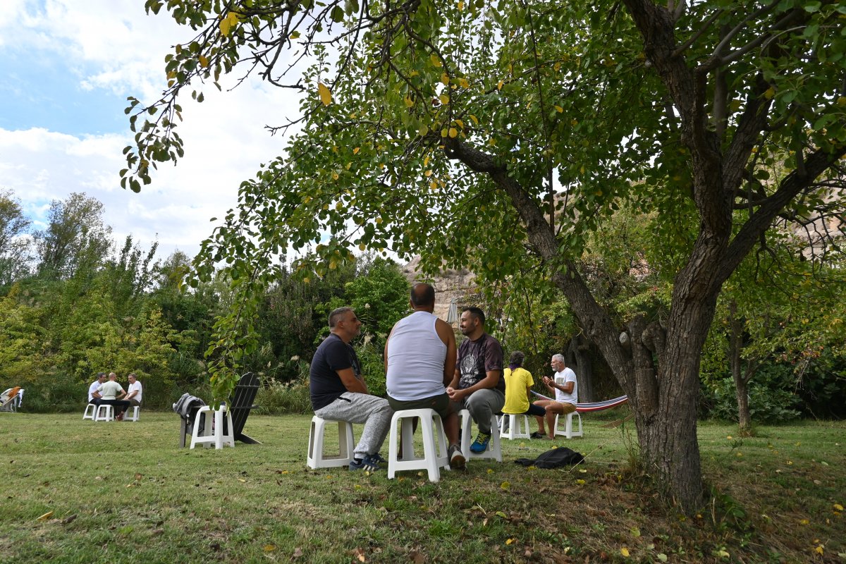 compañerismo vinculos sanos reales